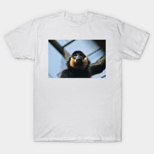 Buff Cheeked Gibbon T-Shirt